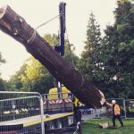Forest Farm Tree Services - Alternative timber applications