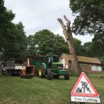 Forest Farm Tree Services - Tree Felling