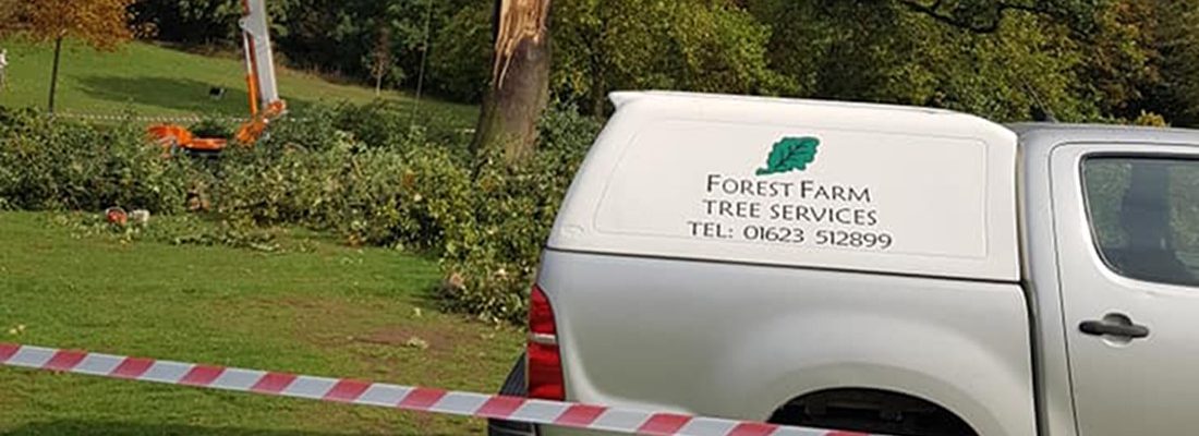 Emergency Call Out Forest Farm Tree Services