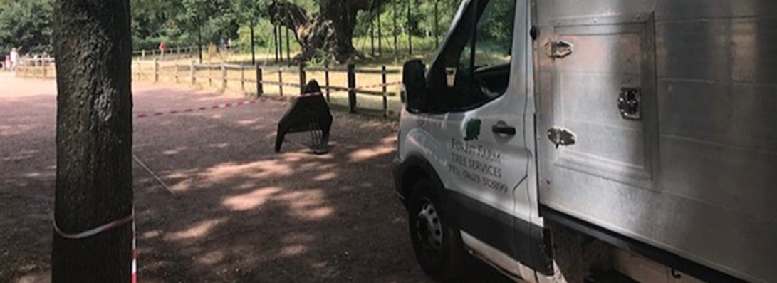 Forest Farm Tree Services