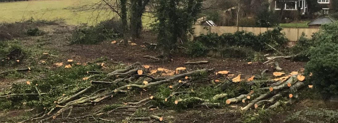 Forest Farm Tree Service Site Clearance