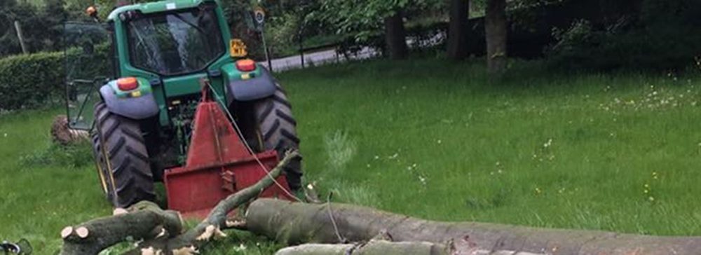 Forest Farm Tree Service Site Clearance