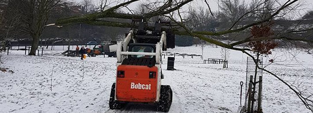 Site Clearance Forest Farm Tree Services