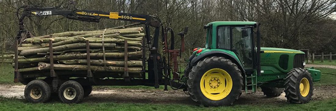 Forest Farm Tree Services - firewood