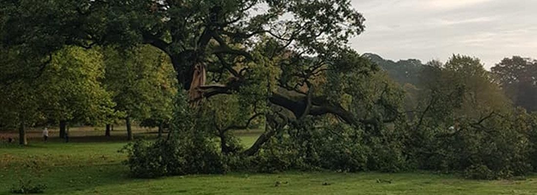 Emergency Call Out Forest Farm Tree Services