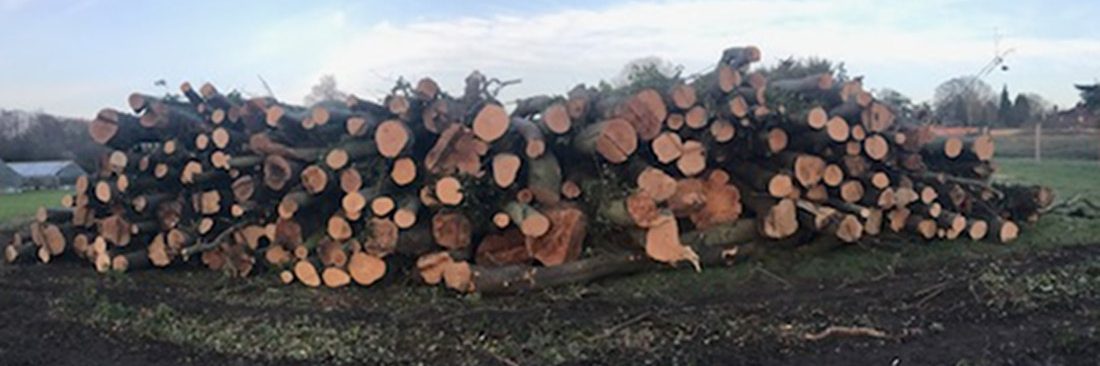 Forest Farm Tree Services - firewood