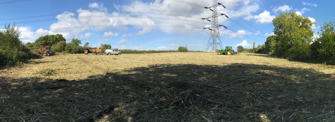 Forest Farm Tree Service Site Clearance