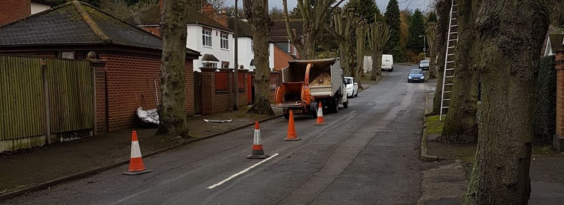 Pollarding - Forest Farm Tree Services